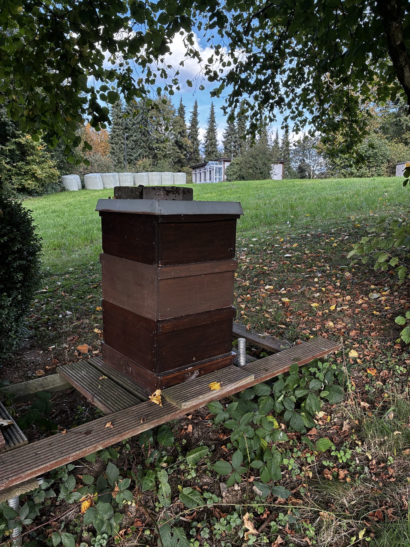 Dunkel gebeizte Holzbeute aus drei übereinander gestapelten Zargen mit Zinkdeckel auf einem Holzgestell, dahinter Wiese und Nadelbäume