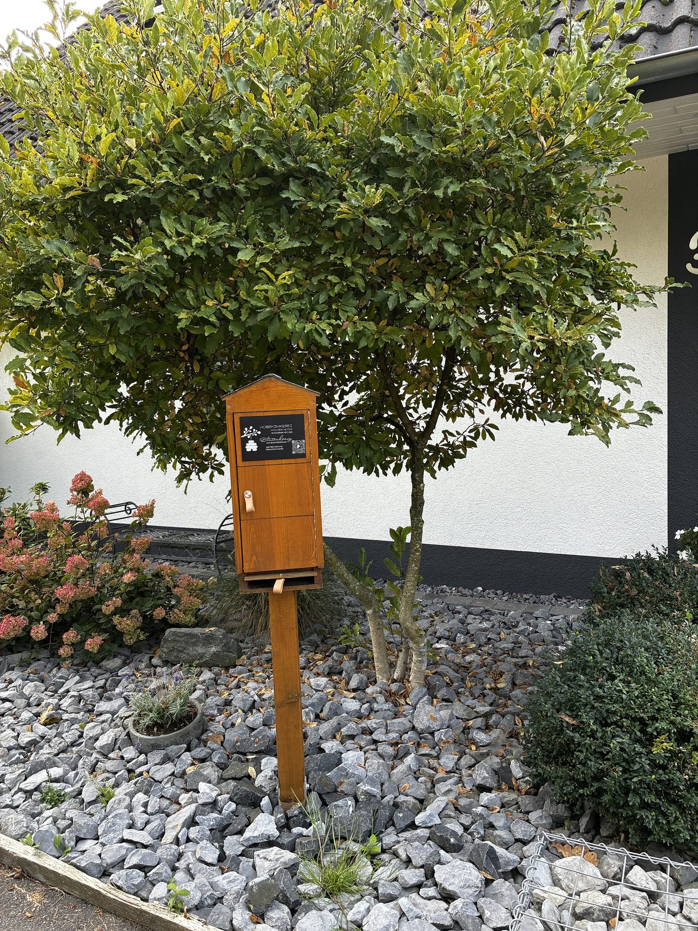 Der Ehrenkasten steht auf einem Pfosten in einem Steinbeet vor einem kleinen Baum und einem weißen Haus