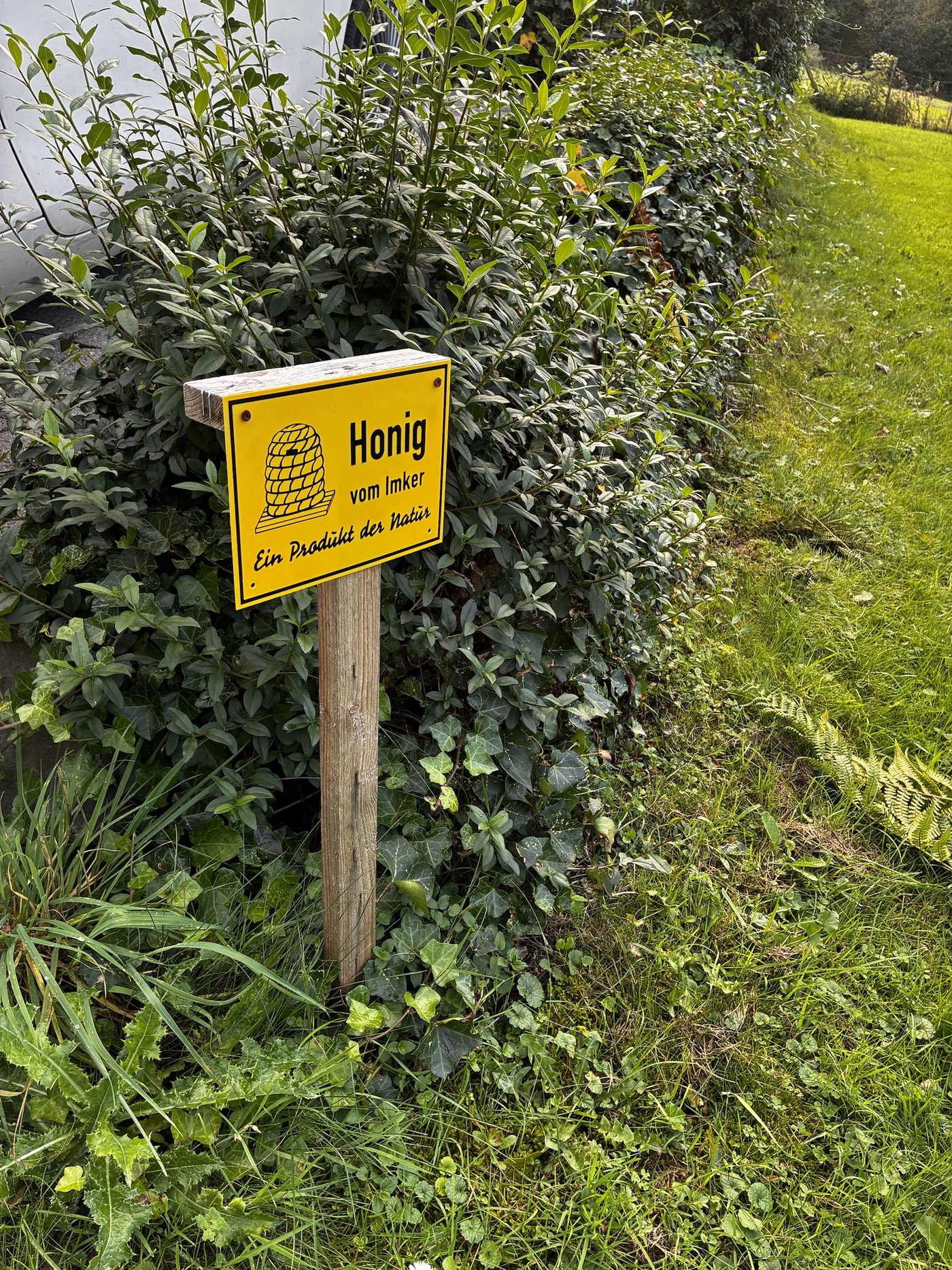 Gelbes Schild mit Bienenkorb und der Aufschrift Honig vom Imker, Ein Produkt der Natur, an einem Holzpfosten vor einer Hecke