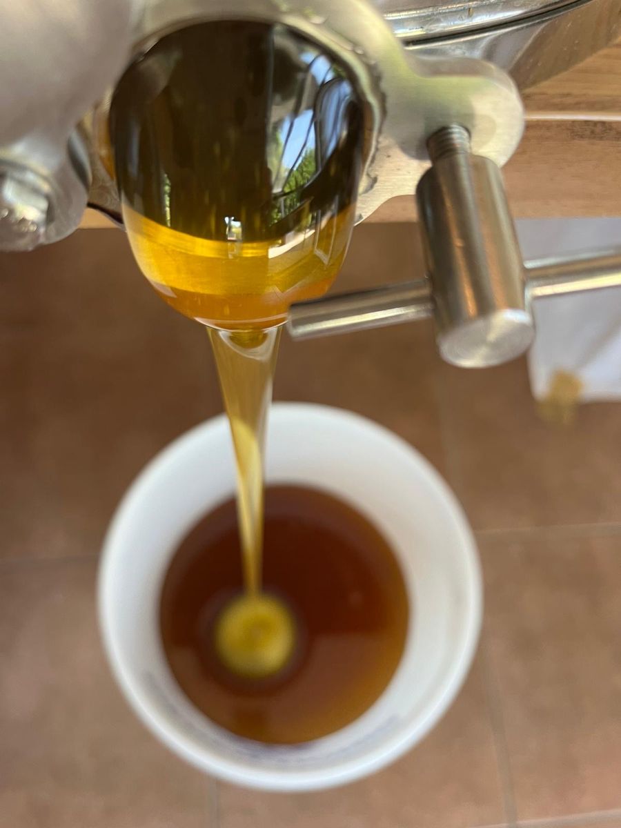 Honig läuft aus dem Hahn einer Schleuder in einen weißen Becher